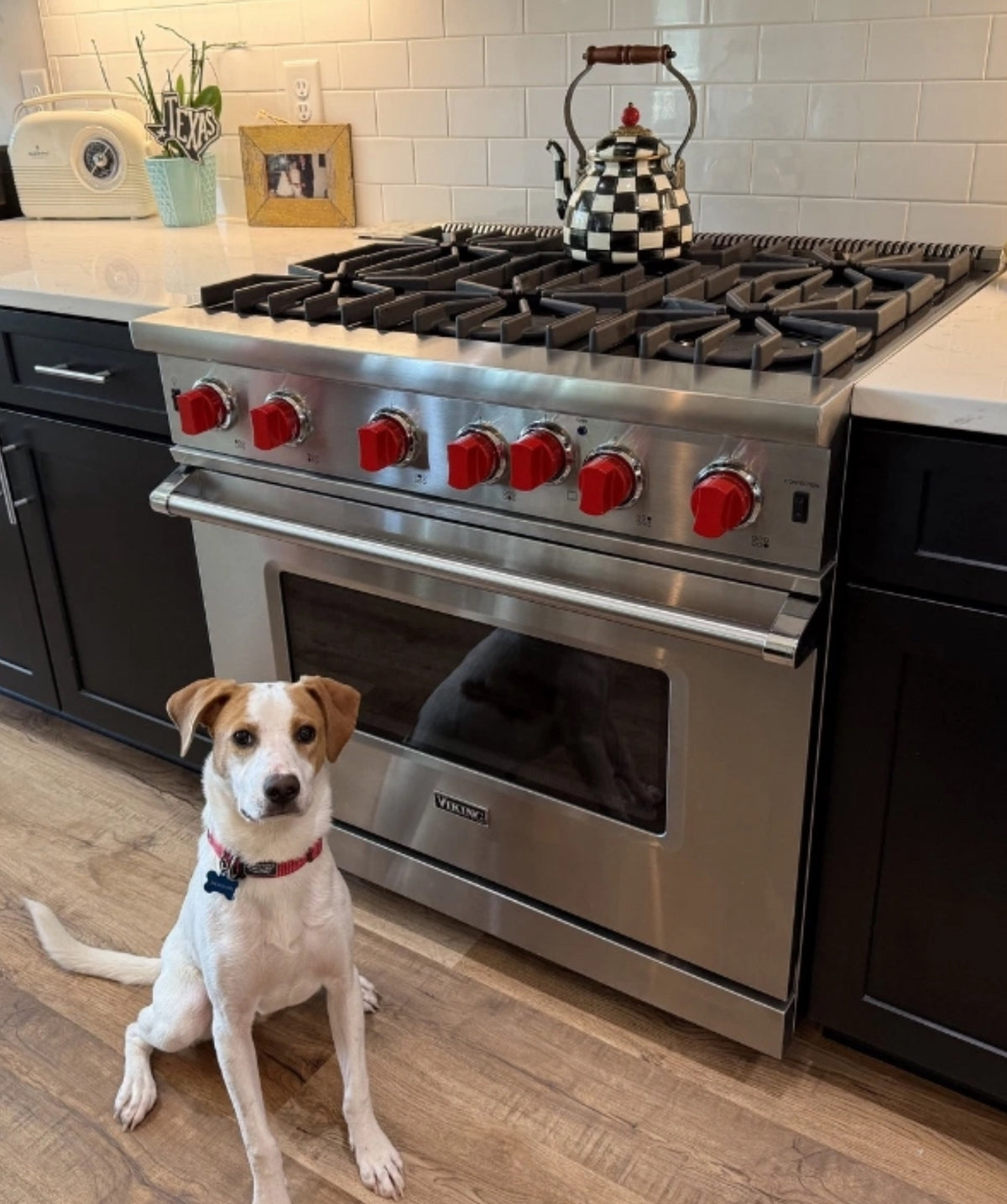 COLORFUL LUXURY STOVE, OVEN, AND GRILL KNOBS